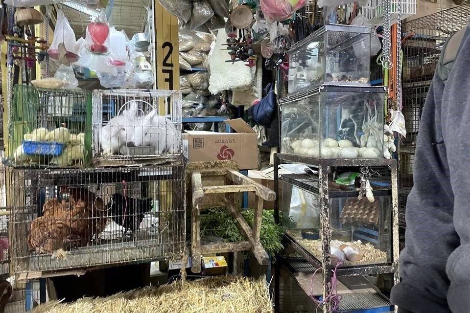 El mercado de Sonora dejará de vender animales antes de que termine el año