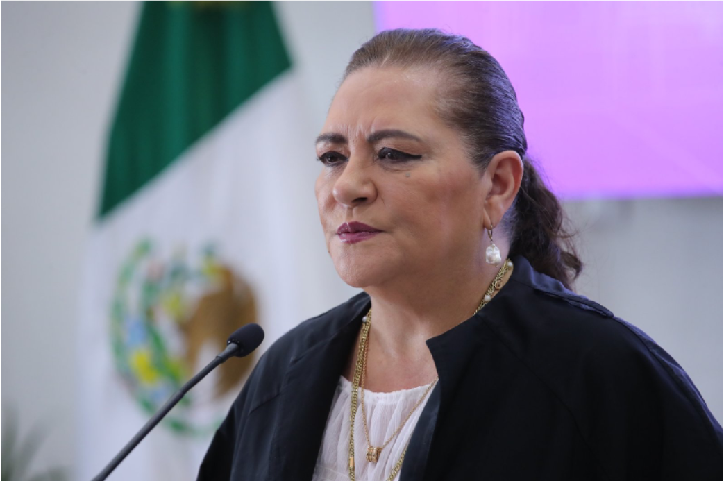 Taddei defiende papel de los Oples y llama a reflexionar sobre costo de la democracia en reforma electoral