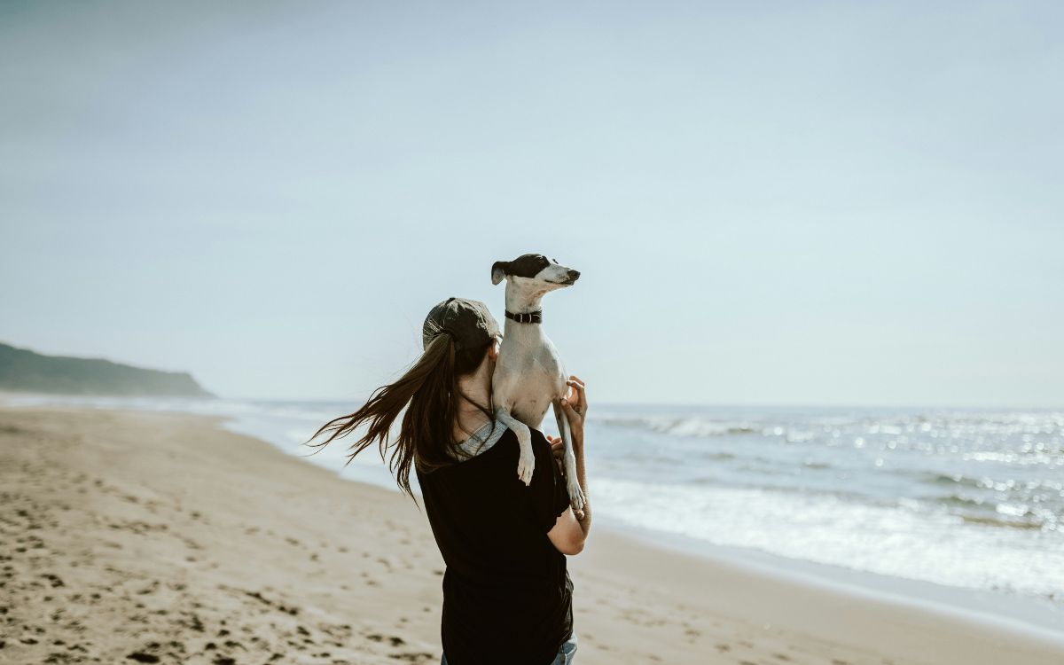 El error más común al cargar a los perros pequeños y cómo evitarlo